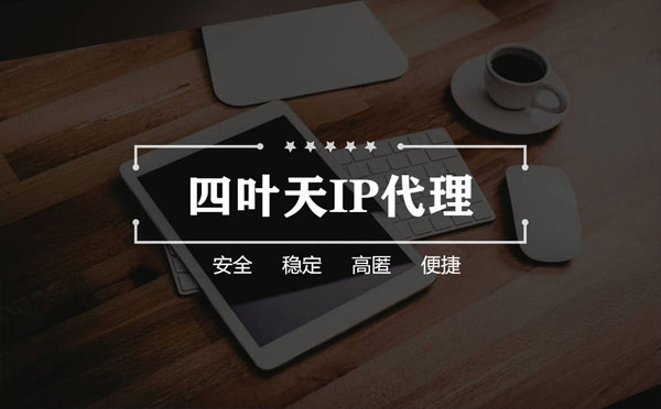 【衢州代理IP】如何快速搭建代理IP？怎么检查代理的效果？